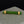 Load image into Gallery viewer, Antique Jade 9K Gold Forget Me Not Bar Brooch
