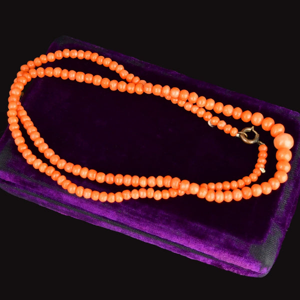Victorian Mediterranean Coral 18.5 Inch Single Strand Necklace - Boylerpf