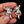Load image into Gallery viewer, Vintage Cat Stud Jacket Earrings in Sterling Silver
