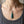 Load image into Gallery viewer, Arts &amp; Crafts Peacock Enamel Pendant Necklace
