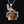 Load image into Gallery viewer, Sterling Silver Pheasant Banded Agate Spinner Fob Necklace
