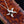 Load image into Gallery viewer, Vintage 14K White Gold Black Pearl Diamond Starfish Necklace - Boylerpf

