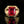 Load image into Gallery viewer, Mens Vintage Art Deco Gold Ruby Signet Ring - Boylerpf
