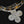 Load image into Gallery viewer, William Spratling Taxco Sterling Silver Shell Necklace
