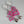 Load image into Gallery viewer, 18K White Gold Ruby Tahitian Pearl Chandelier Earrings

