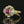 Load image into Gallery viewer, Vintage 14K Ruby &amp; Baguette Diamond Ballerina Ring
