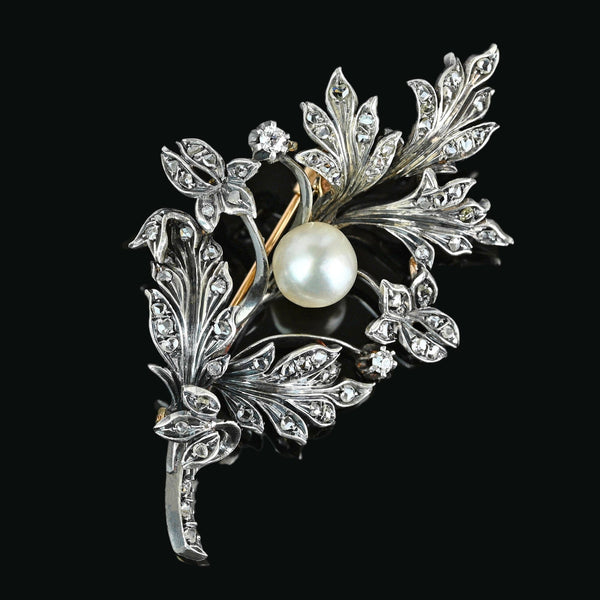 Large Antique French 18K Gold Pearl Diamond Brooch - Boylerpf