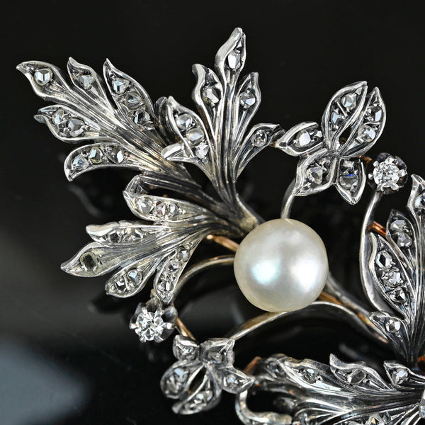 Large Antique French 18K Gold Pearl Diamond Brooch - Boylerpf