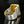 Load image into Gallery viewer, Maria Margoni Heliodor Yellow Beryl 18K Gold Ring
