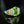 Load image into Gallery viewer, Art Deco Peridot Diamond Ring Platinum Vintage Estate Ring - Boylerpf
