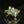 Load image into Gallery viewer, 14K Gold Emerald .50 CTW Diamond Cluster Ring - Boylerpf
