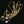 Load image into Gallery viewer, Antique Victorian 14K Gold Pearl Muff Guard Watch Chain
