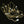 Load image into Gallery viewer, Antique Victorian 14K Gold Pearl Muff Guard Watch Chain
