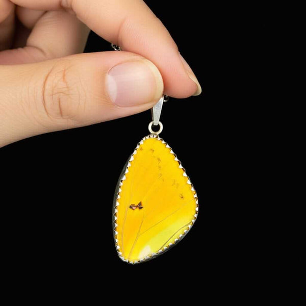 Vintage Silver Yellow Morpho Butterfly Wing Pendant - Boylerpf