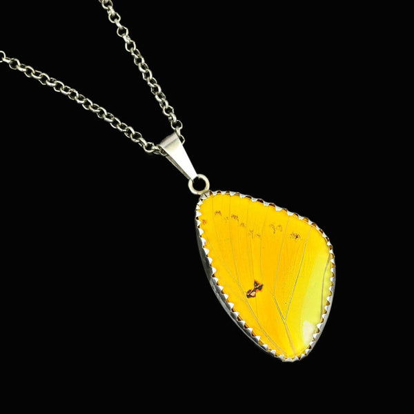 Vintage Silver Yellow Morpho Butterfly Wing Pendant - Boylerpf