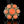 Load image into Gallery viewer, Arts &amp; Crafts Sterling Silver Coral Cabochon Ring - Boylerpf
