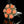 Load image into Gallery viewer, Arts &amp; Crafts Sterling Silver Coral Cabochon Ring - Boylerpf
