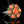 Load image into Gallery viewer, Arts &amp; Crafts Sterling Silver Coral Cabochon Ring - Boylerpf
