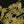 Load image into Gallery viewer, Antique French 18K Gold Guard Chain Necklace 62" Long Belle Époque - Boylerpf
