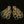 Load image into Gallery viewer, Buccellati Hawaii 18K Gold Chandelier Earrings
