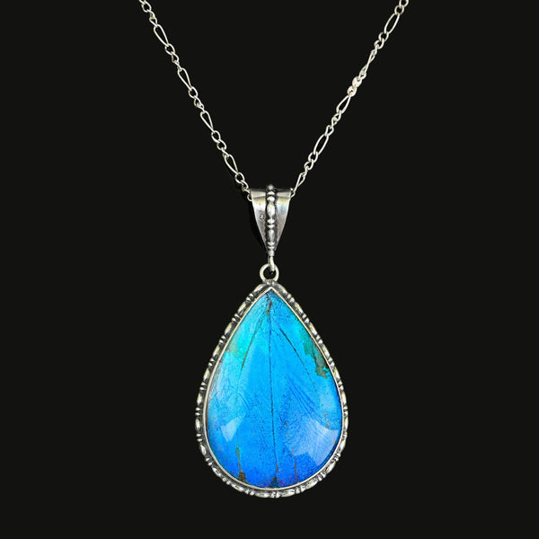 Antique Edwardian Morpho Butterfly Wing Pendant Necklace