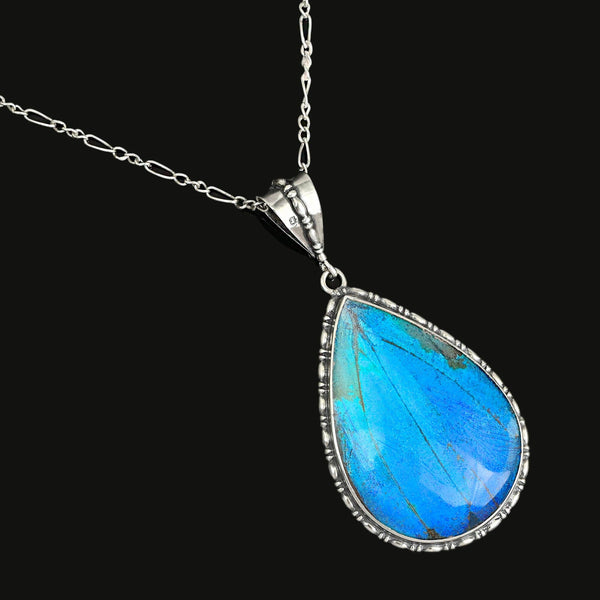 Antique Edwardian Morpho Butterfly Wing Pendant Necklace