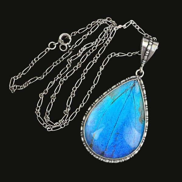 Antique Edwardian Morpho Butterfly Wing Pendant Necklace