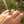 Load image into Gallery viewer, 24K Gold Egyptian Princess Cut Pyramid Iolite Ring - Boylerpf
