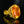 Load image into Gallery viewer, Luna Felix Citrine Ring 18K Gold Artisan Statement Ring - Boylerpf
