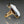 Load image into Gallery viewer, Antique Victorian 14K Gold Achilles Hardstone Cameo Ring
