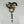 Load image into Gallery viewer, Antique Victorian Scottish Banded Agate Brooch 19th Century

