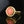 Load image into Gallery viewer, Vintage Russian 14K Gold Cabochon Coral Ring - Boylerpf
