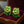 Load image into Gallery viewer, Vintage Thewa 18K Gold Peacock Green Glass Clip-On Earrings
