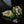 Load image into Gallery viewer, Vintage Thewa 18K Gold Peacock Green Glass Clip-On Earrings
