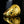 Load image into Gallery viewer, Carrera Y Carrera 18K Gold Aqua Dome Ring - Boylerpf

