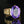 Load image into Gallery viewer, Antique Edwardian 7 Ct Natural Amethyst Solitaire Ring in Gold - Boylerpf
