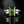 Load image into Gallery viewer, 18K White Gold Baguette Diamond Green Tourmaline Ring - Boylerpf
