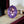 Load image into Gallery viewer, Antique Edwardian 7 Ct Natural Amethyst Solitaire Ring in Gold - Boylerpf
