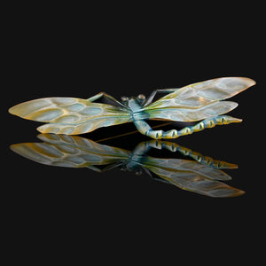 Antique Art Nouveau Carved Horn Dragonfly Brooch - Boylerpf