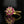 Load image into Gallery viewer, Vintage Diamond Flower Cluster Ruby Ring in 10K Gold - Boylerpf
