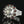 Load image into Gallery viewer, Wide Celestial Starburst Moonstone Garnet Bracelet in Silver - Boylerpf
