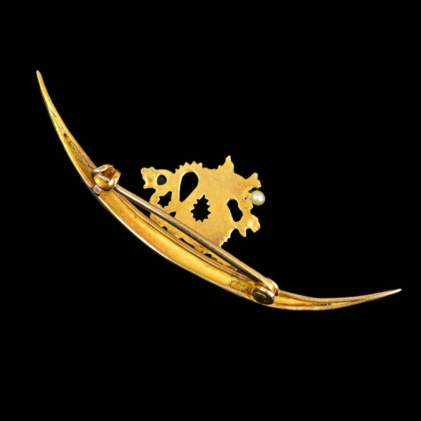 Art Nouveau 14K Gold Pearl Griffin Crescent Moon Brooch - Boylerpf