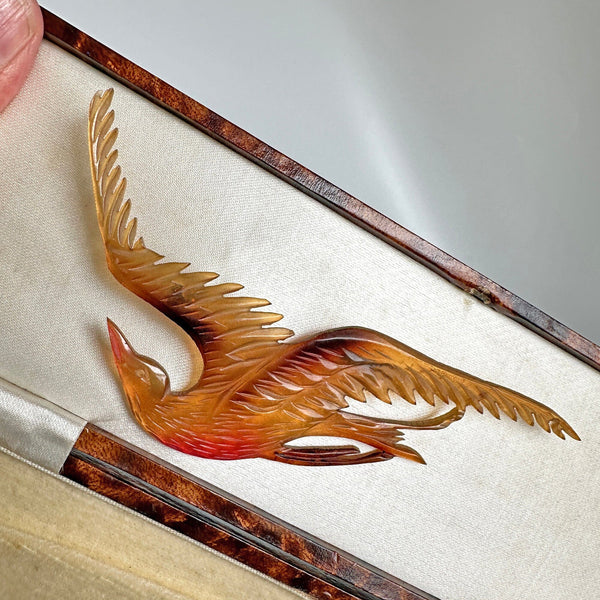 Antique Art Nouveau French Horn Carved Bird Brooch - Boylerpf