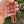 Load image into Gallery viewer, Antique Victorian 10K Gold Salmon Coral Necklace - Boylerpf
