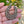 Load image into Gallery viewer, Antique Georgian Cut Steel Horseshoe Brooch - Boylerpf

