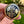 Load image into Gallery viewer, Antique Victorian 9K Gold &amp; Silver Tortoise Shell Pique Brooch - Boylerpf
