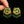 Load image into Gallery viewer, Vintage Thewa 18K Gold Peacock Green Glass Clip-On Earrings
