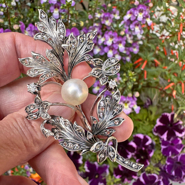 Large Antique French 18K Gold Pearl Diamond Brooch - Boylerpf
