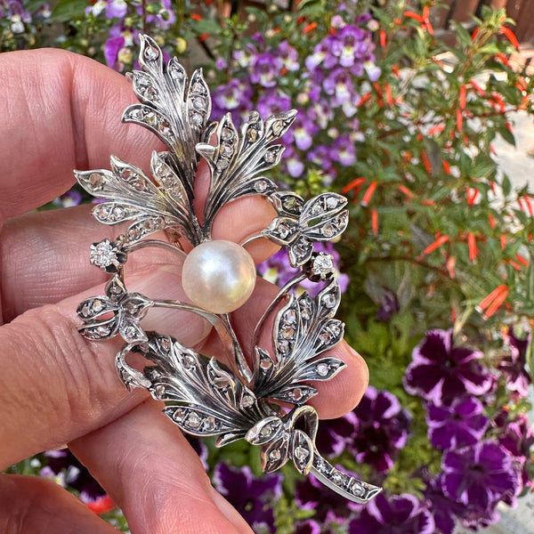 Large Antique French 18K Gold Pearl Diamond Brooch - Boylerpf