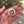 Load image into Gallery viewer, Rare William Robb of Ballater Citrine Scottish Kilt Pin Brooch - Boylerpf
